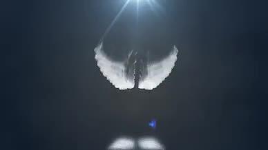天使翅膀视频的预览图
